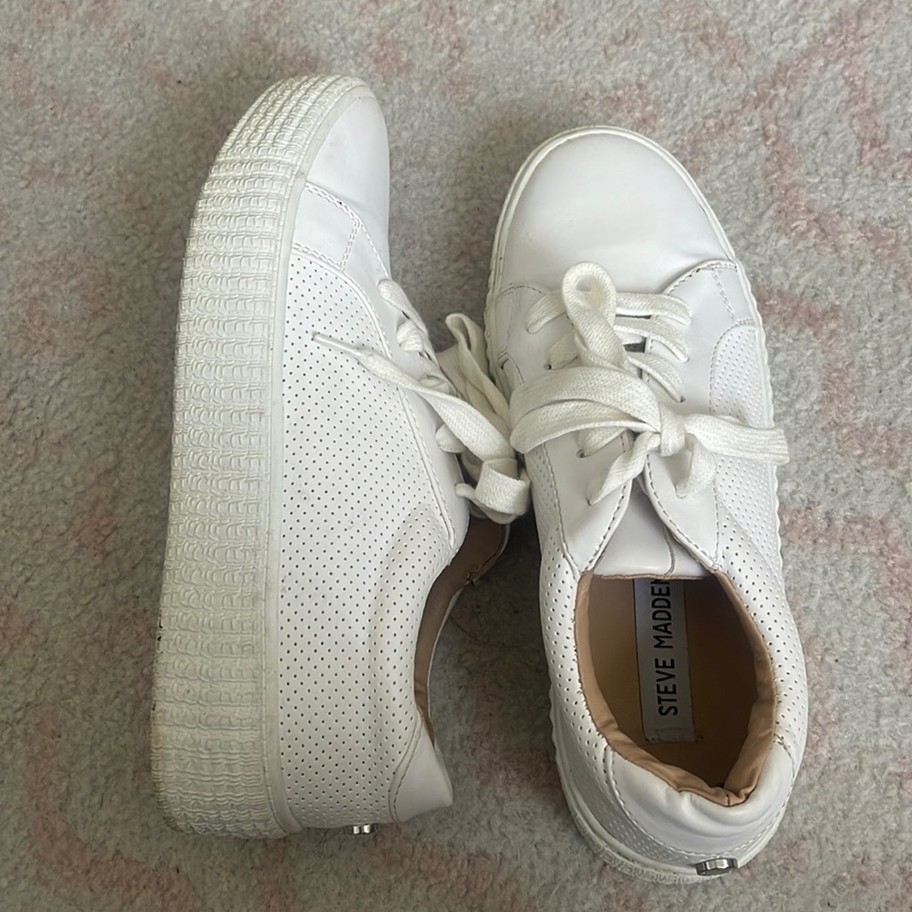 steve madden sneakers